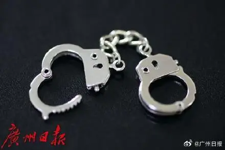 輟學少年立動漫圈大佬人設詐騙18萬