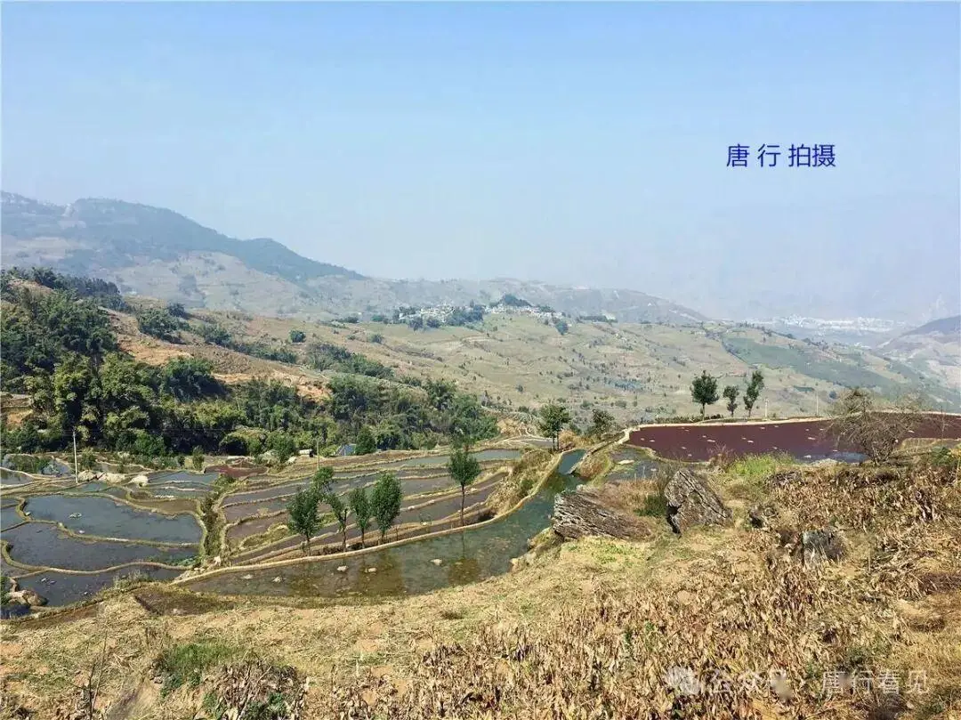 原創擇偶十誡：現代女性婚姻選擇的理性思考