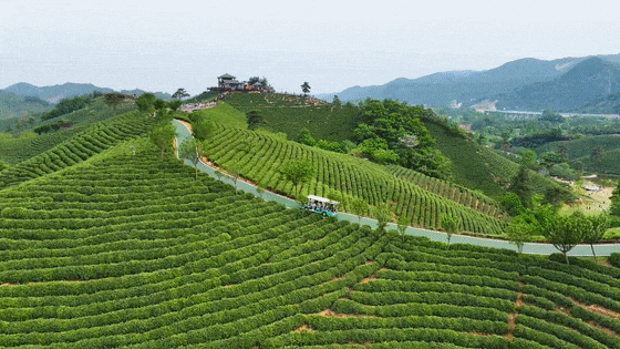 即將首發，全列臥鋪+獨立衛浴