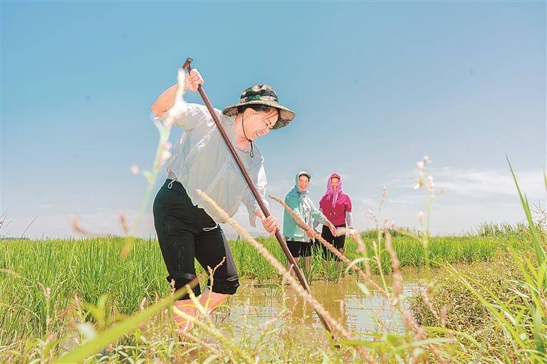 這筆“迴圈金”，點亮萬千女性創業夢