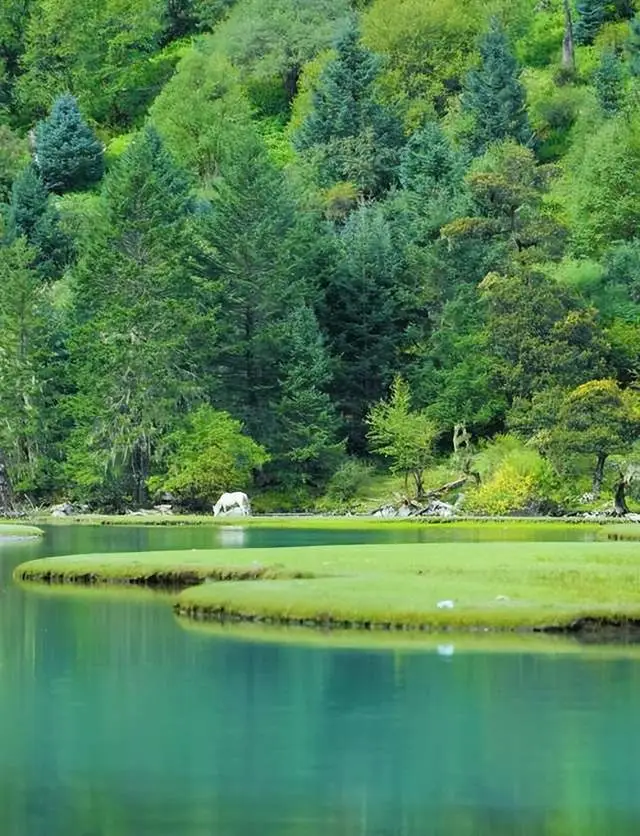 四川旅遊，甘孜月亮湖真的好好玩！