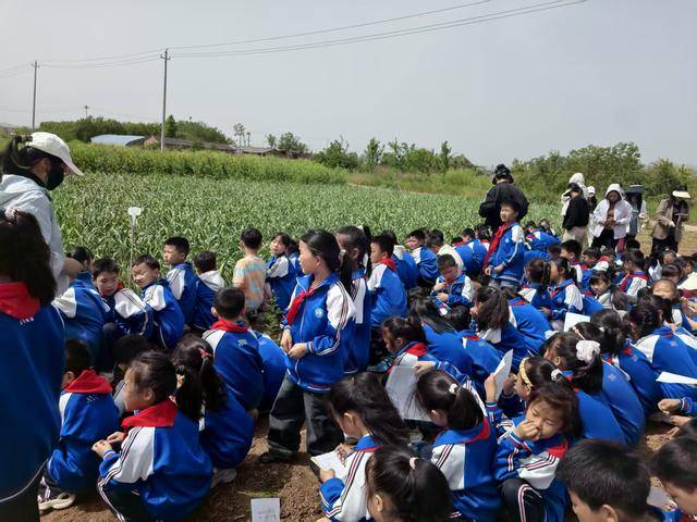 濟源：東軹城小學開展穀雨農耕實踐研學活動
