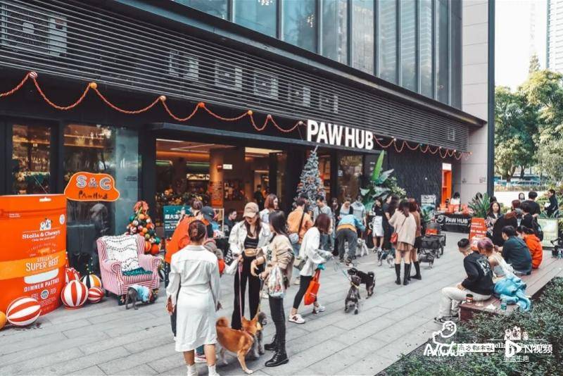 三明伴侶動物立法爭議：法律空缺，寵物經濟千億賽道如何發展